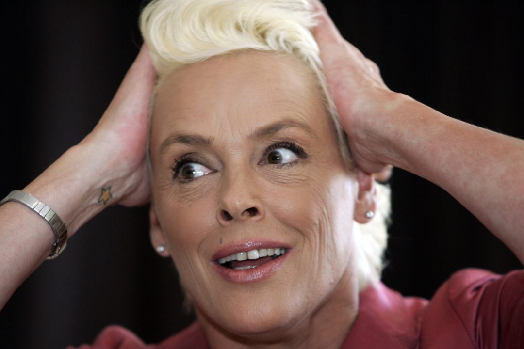 Pictures of Brigitte Nielsen