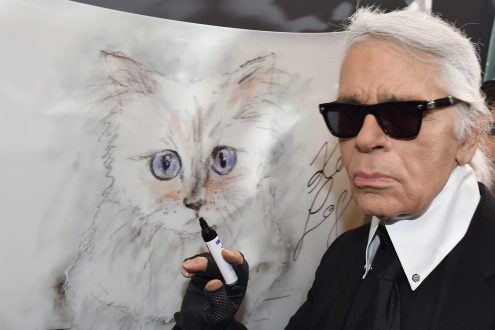 Karl Lagerfeld Photo Gallery