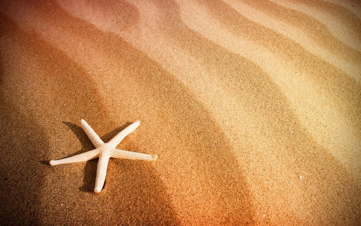 Starfish 2