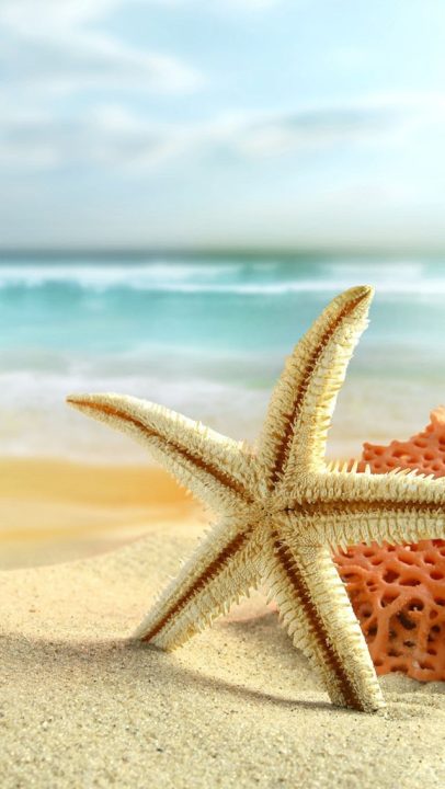 Starfish Android Wallpapers