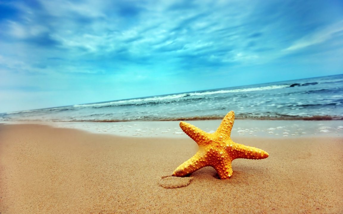 Starfish Pics