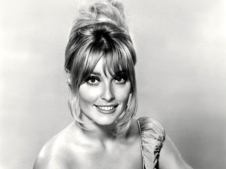 Sharon Tate Pictures