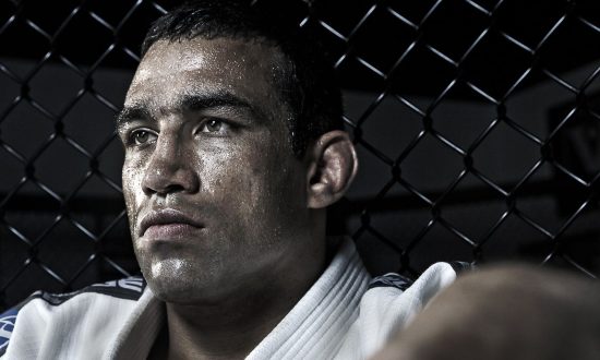 Fabricio Werdum Pictures