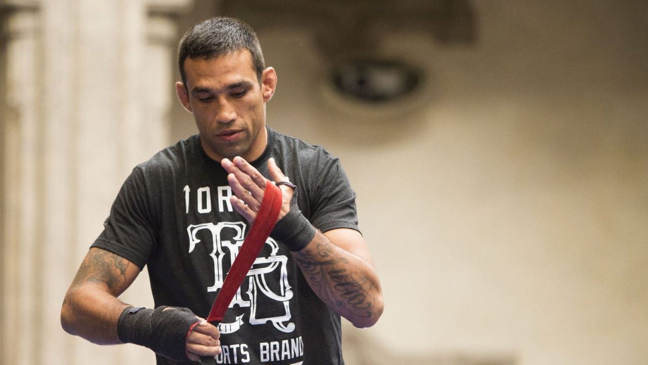 Fabricio Werdum Wallpapers for Windows