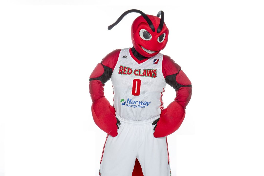 Maine Red Claws images