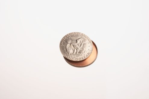 Silver Dollar images