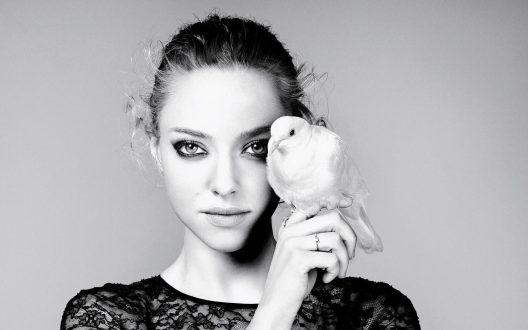 Amanda Seyfried Photo Gallery