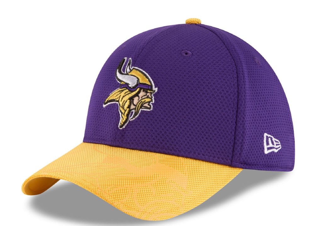 Minnesota Vikings images