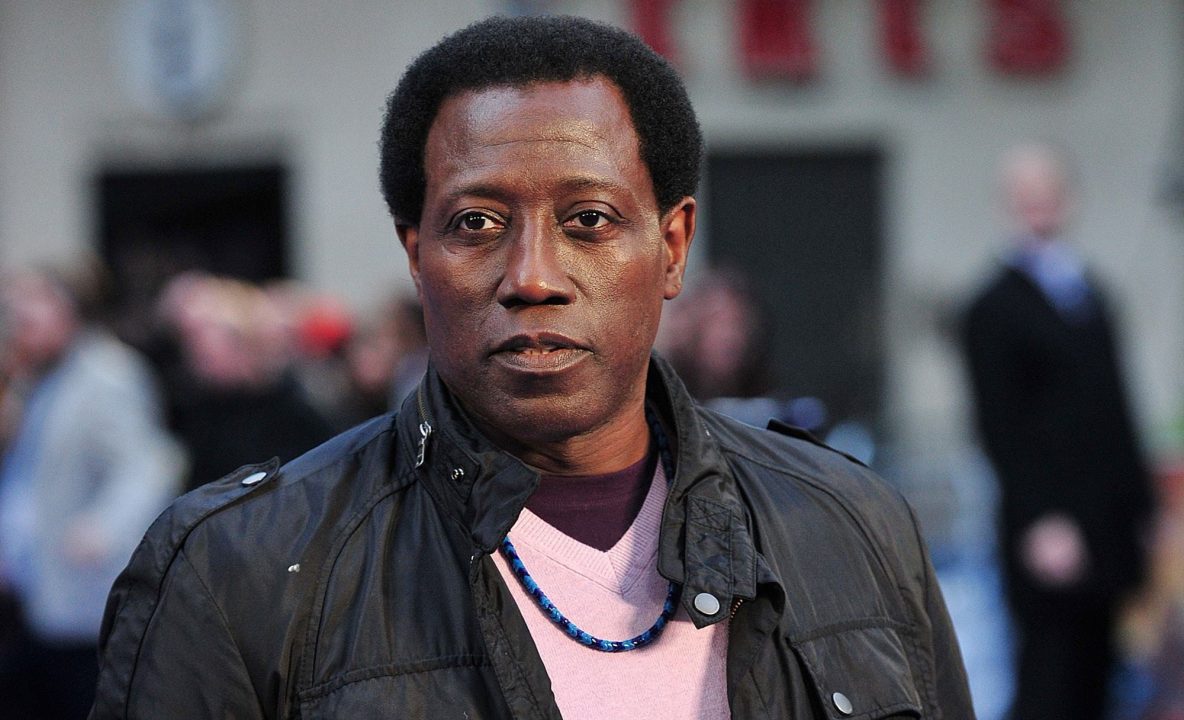 Wesley Snipes 4K Wallpapers