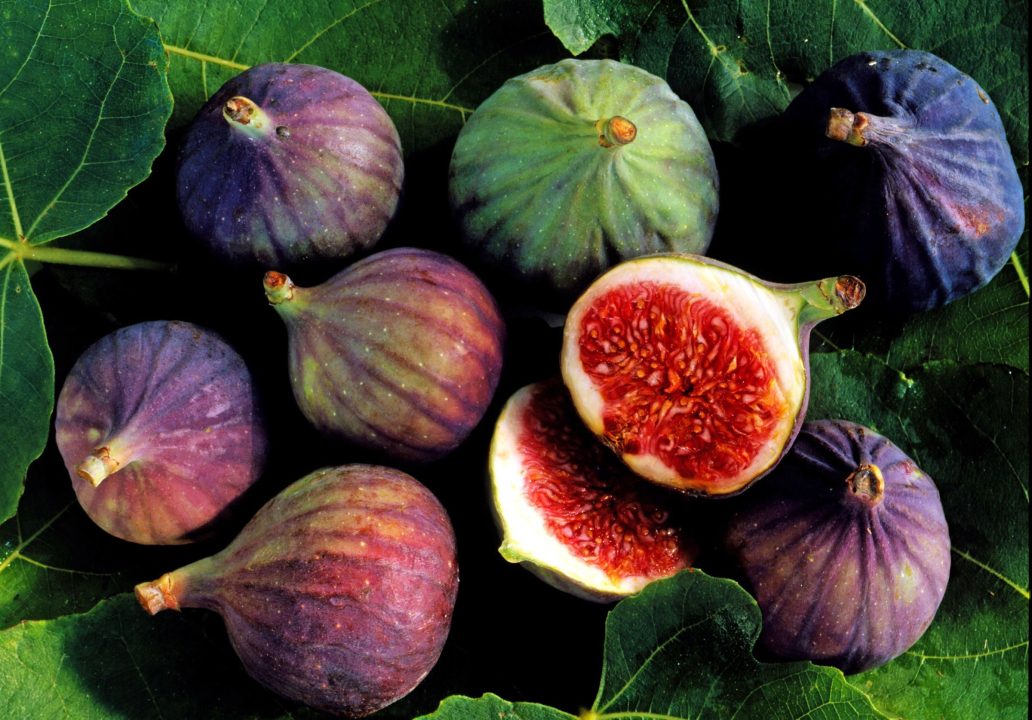 Fig