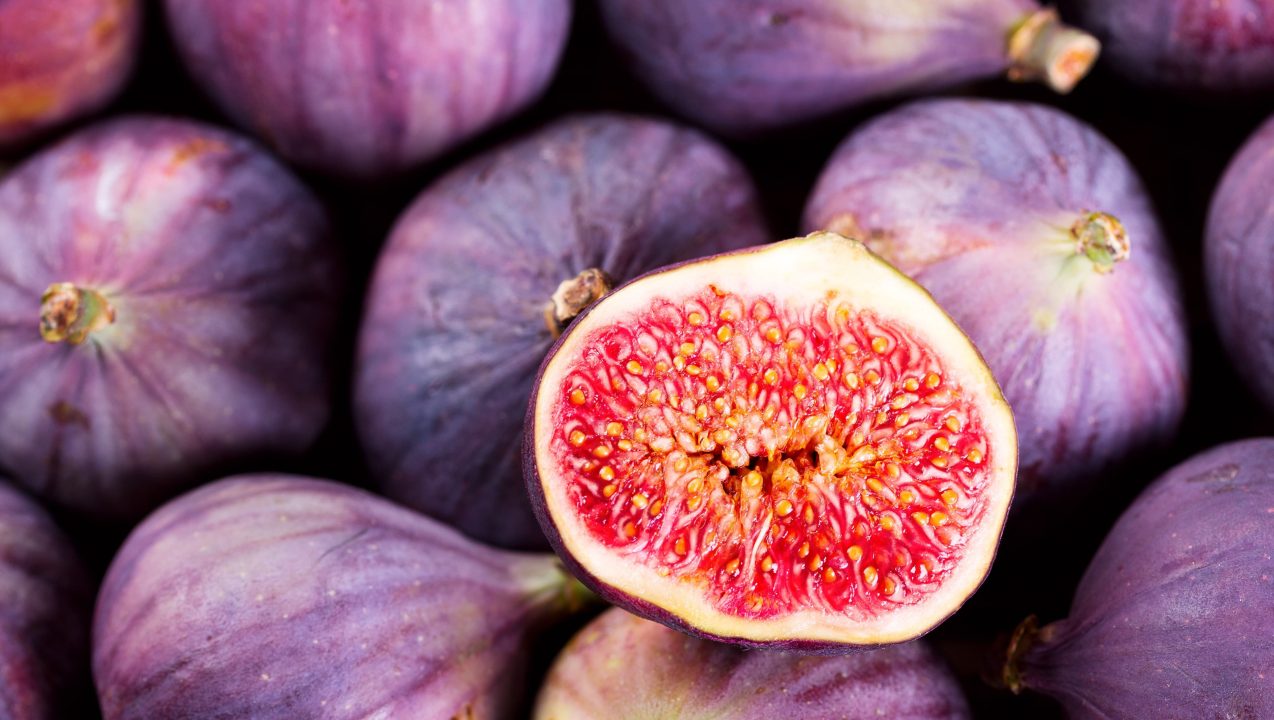 Fig HD Wallpapers