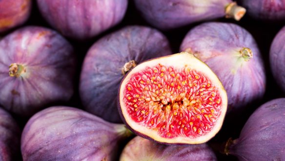 Fig HD Wallpapers