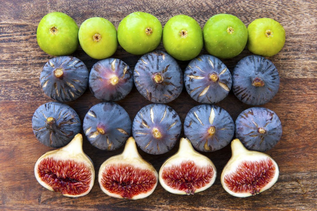 Fig Photos