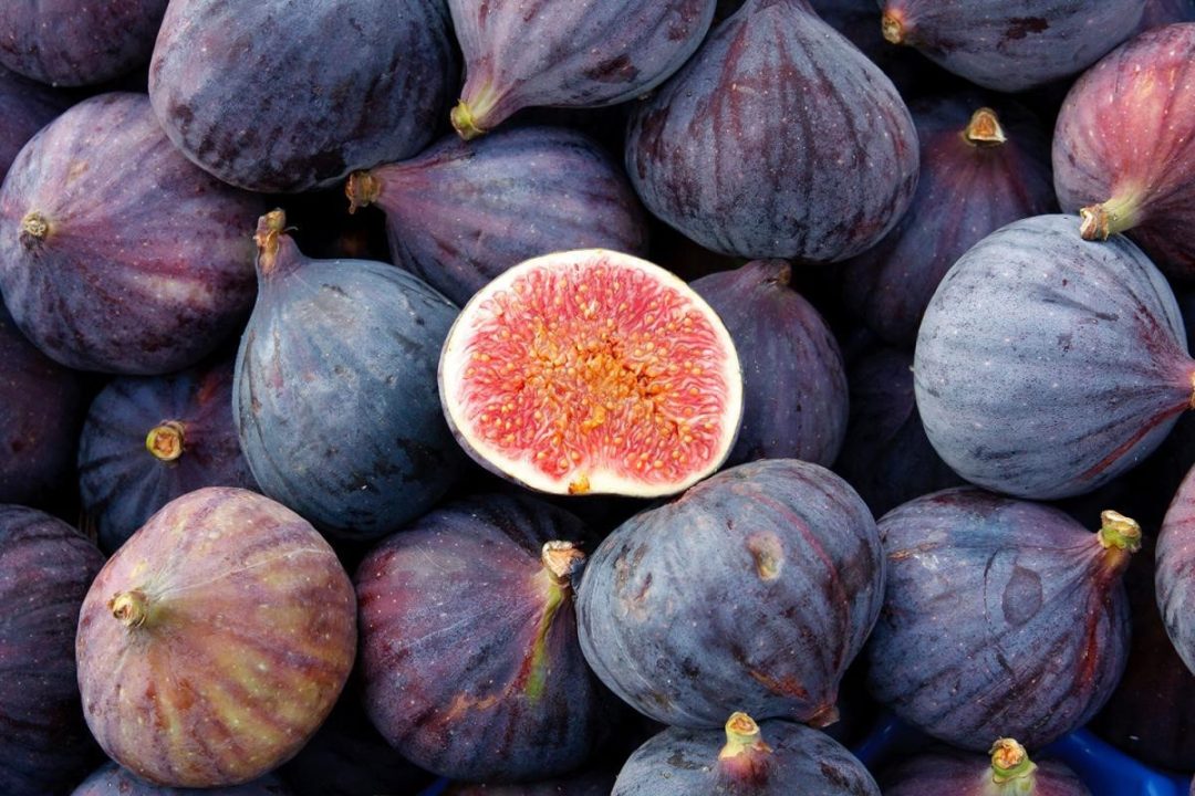 Fig images