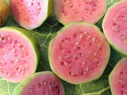 Guava High Definition