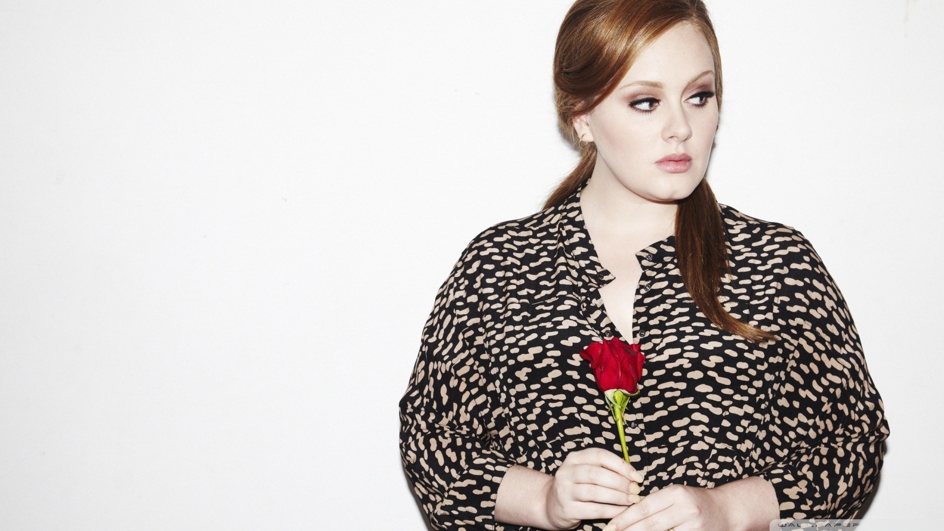 Adele Wallpapers (60+ images inside)