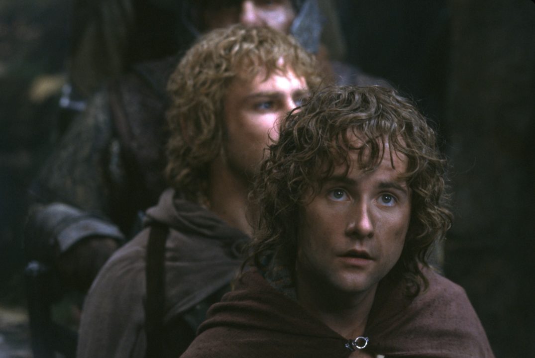 Meriadoc Brandybuck and Peregrin Took