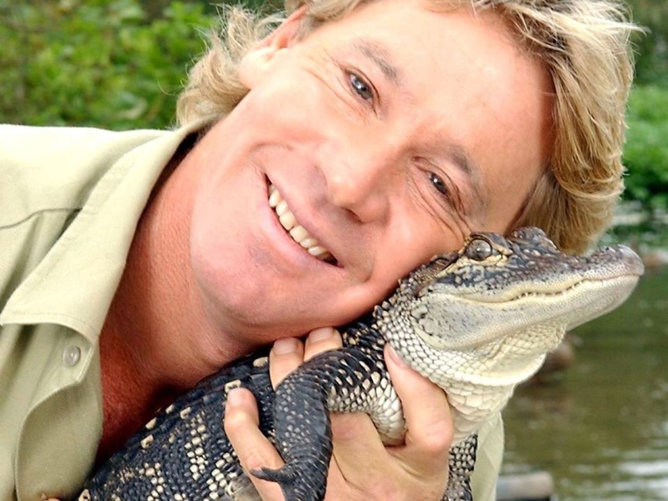 Steve Irwin Computer Wallpapers