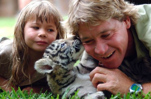 Steve Irwin Gallery