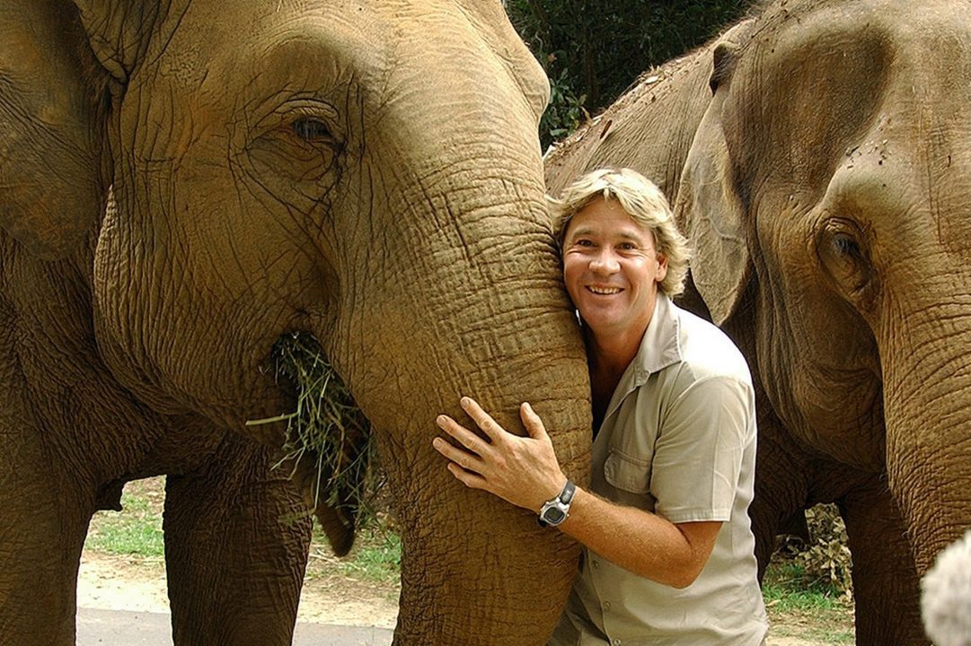 Steve Irwin Laptop Wallpapers