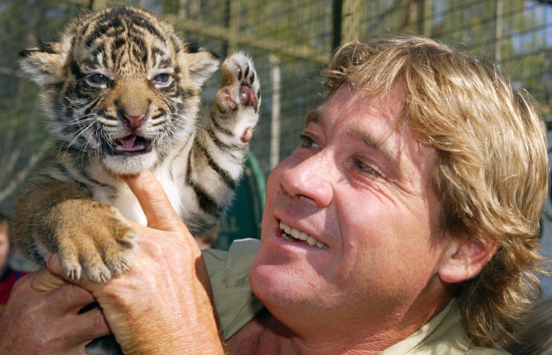 Steve Irwin Pics