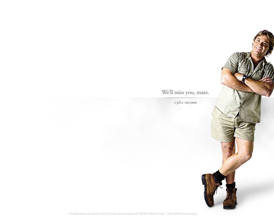 Steve Irwin Wallpapers