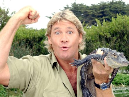Steve Irwin Wallpapers for PC