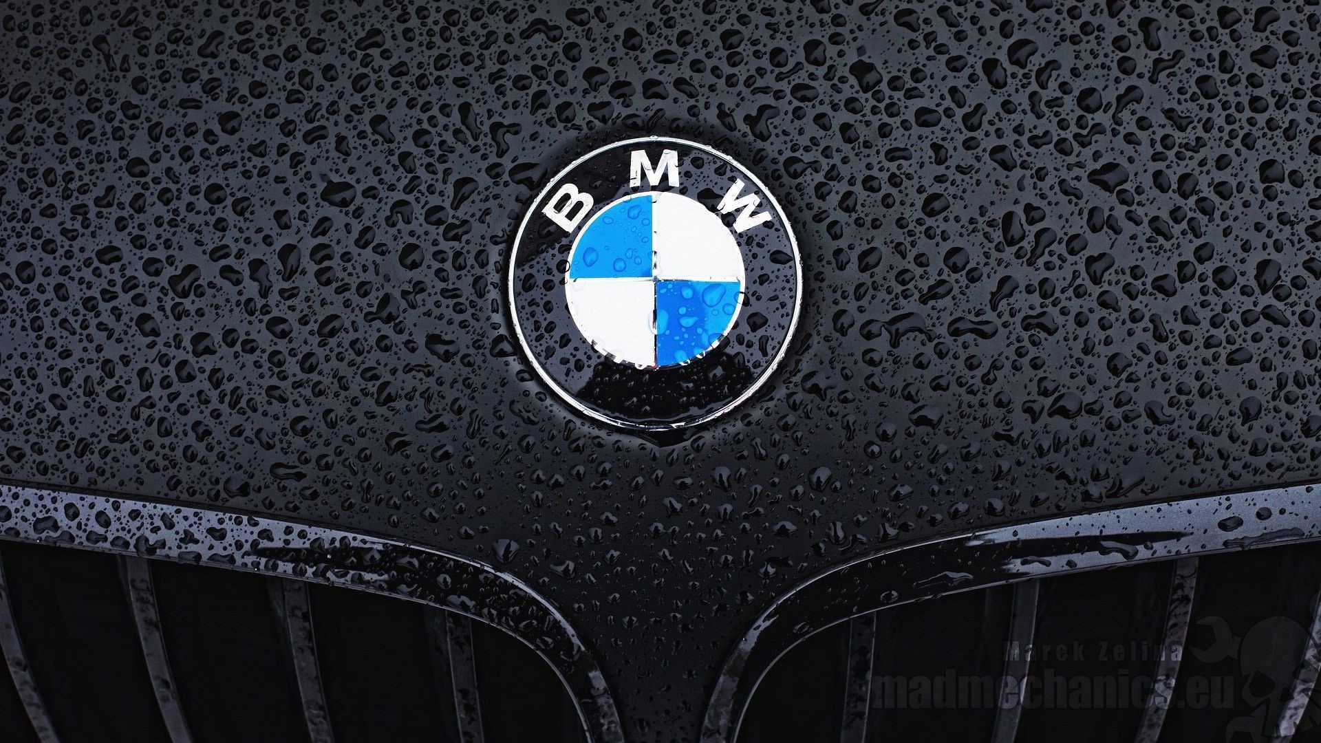 BMW Logo Wallpapers 