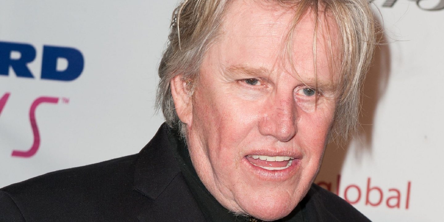 Gary Busey Photos