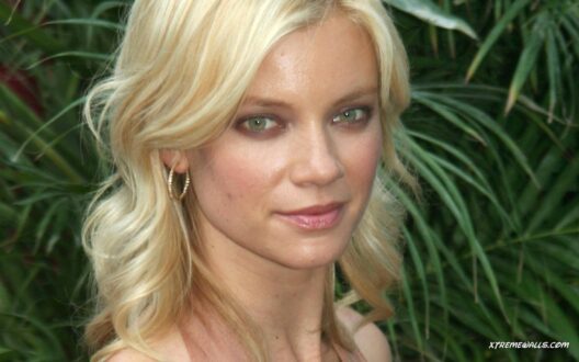 Amy Smart Wallpapers for PC