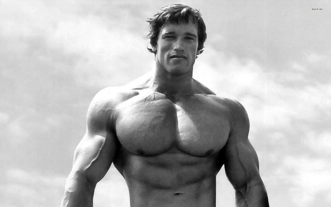 Arnold Schwarzenegger 4