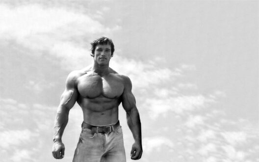Arnold Schwarzenegger Wallpapers 3