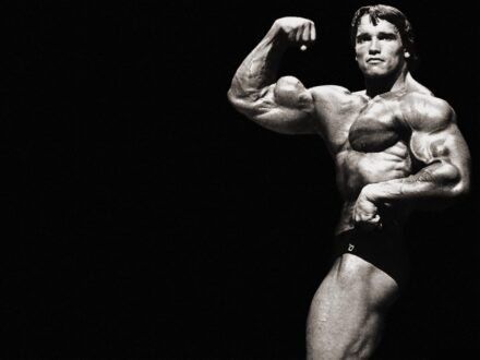 Arnold Schwarzenegger Wallpapers 4