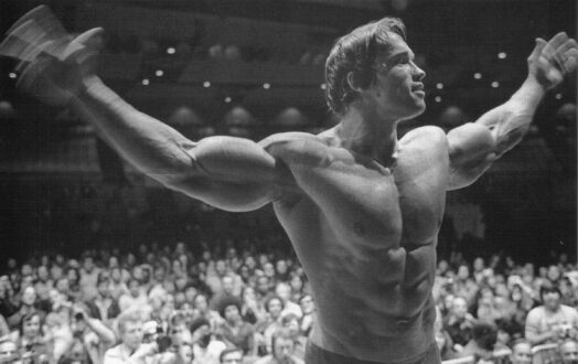 Arnold Schwarzenegger Wallpapers 5