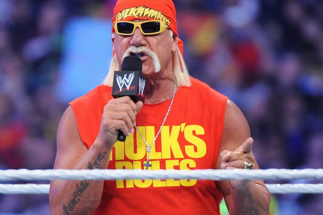 Hulk Hogan 2