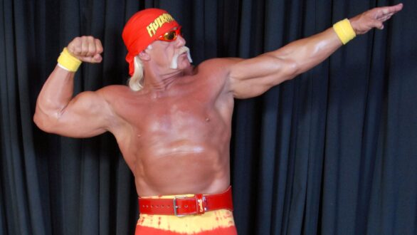 Hulk Hogan 4