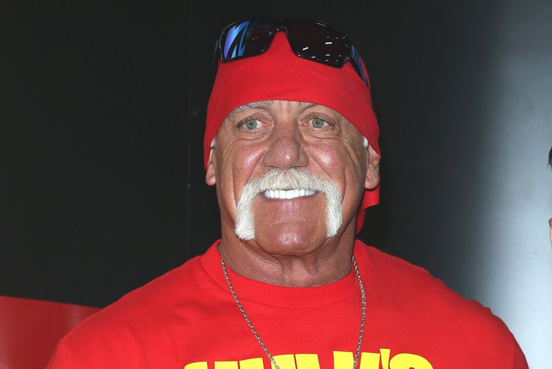 Hulk Hogan 4K