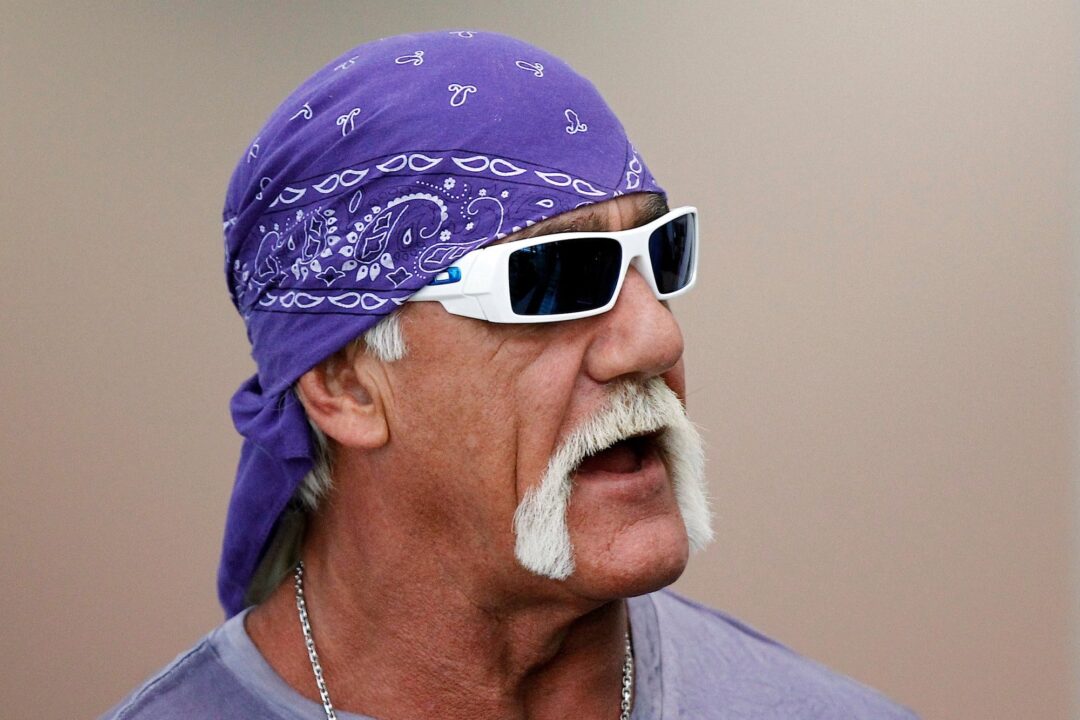 Hulk Hogan PC Wallpapers