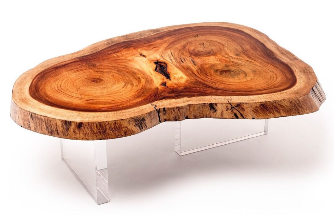 Original Wood Slab Coffee Table