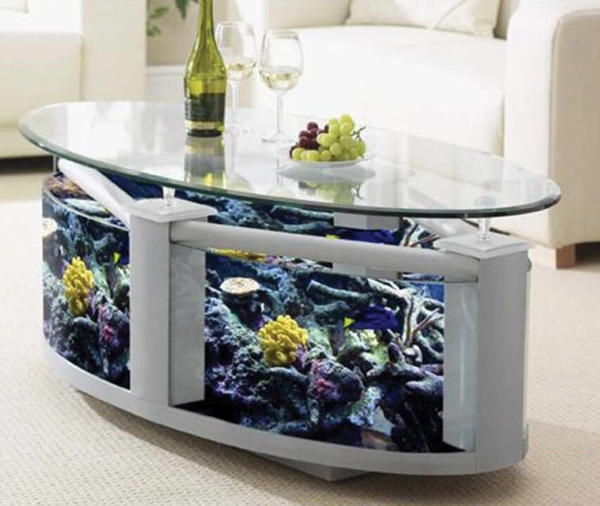 Oval Fish Tank Coffee Table