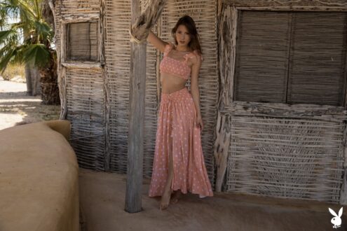 Miluniel Louis Gallery