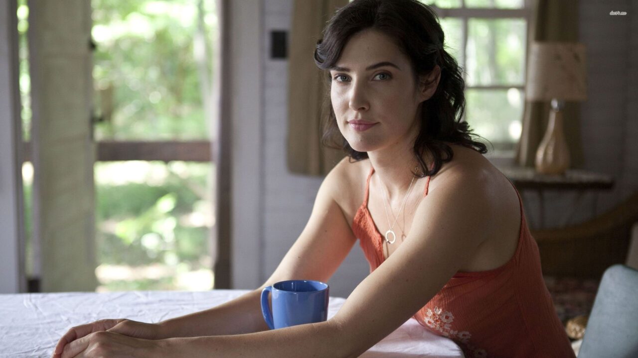 Cobie Smulders Gallery