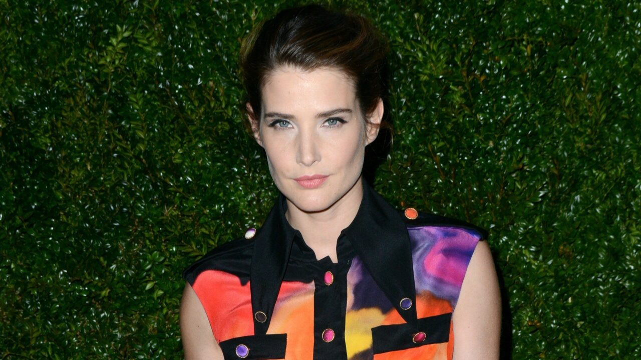 Cobie Smulders Wallpapers for PC