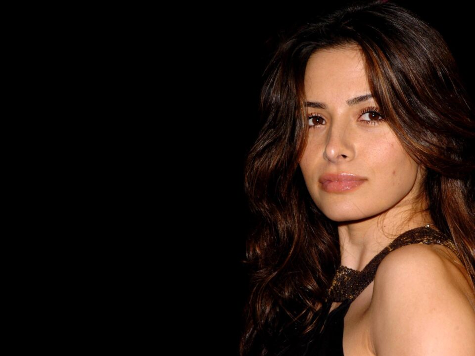 Sarah Shahi Background images