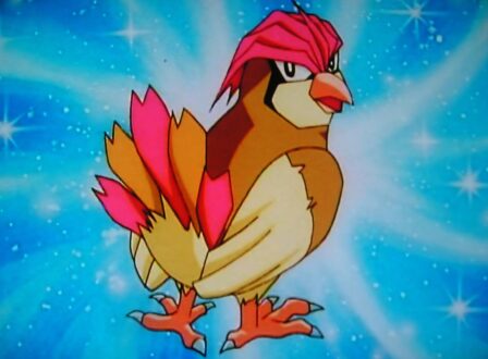 Pidgeotto Gallery