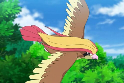 Pidgeotto Pictures