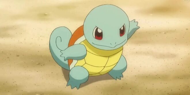 Squirtle Photos
