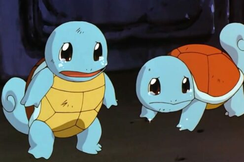 Squirtle Pictures