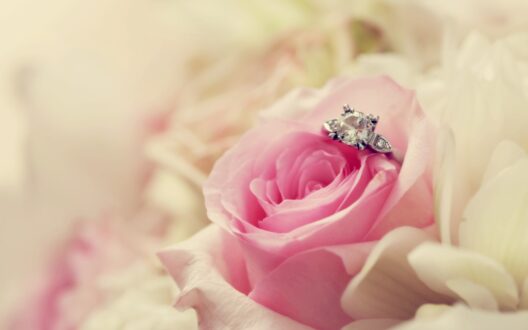 Wedding Pics