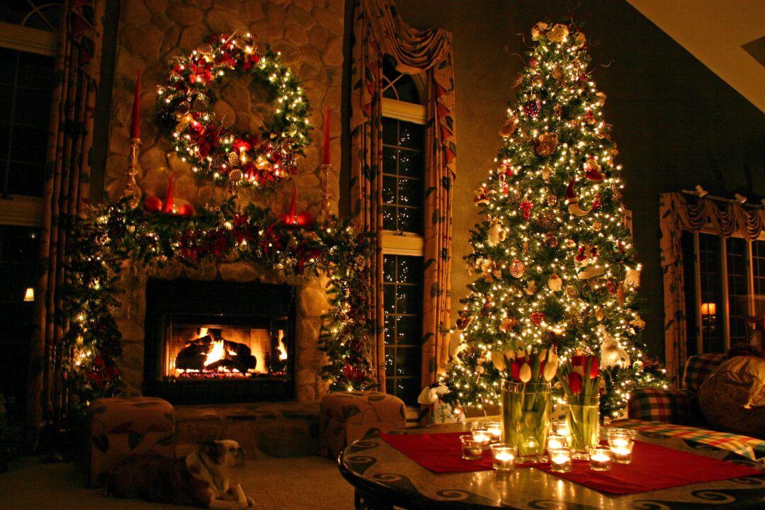 Christmas Tree 5